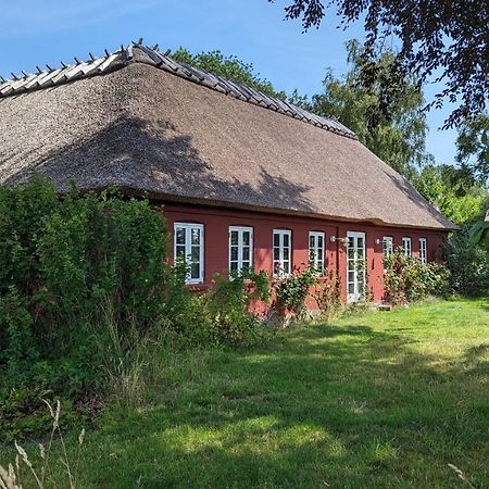 Under Valnødden Bed and Breakfast Stubbekøbing Eksteriør billede