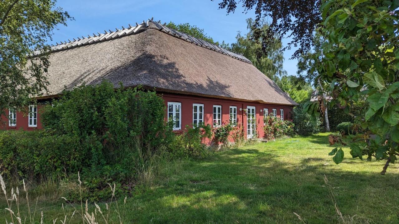 Under Valnødden Bed and Breakfast Stubbekøbing Eksteriør billede
