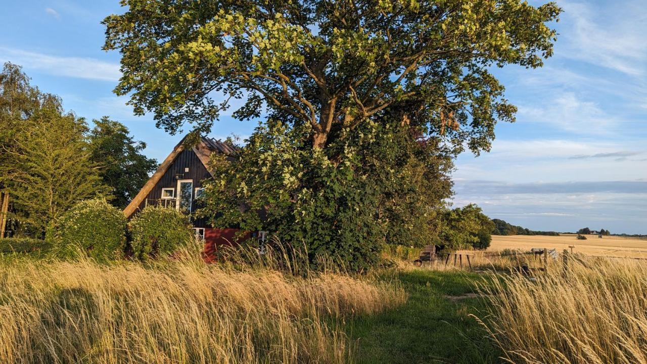 Under Valnødden Bed and Breakfast Stubbekøbing Eksteriør billede